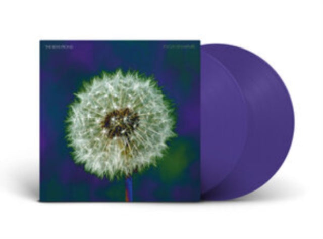 BEVIS FROND | FOCUS ON NATURE (2LP) | VINYL RECORD (LP)