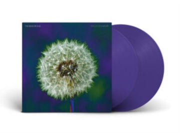 BEVIS FROND | FOCUS ON NATURE (2LP) | VINYL RECORD (LP)
