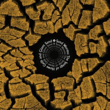 SAND WORMS (THE SONGS OF HOWE GELB & GIANT SAND) | VINYL RECORD (LP)
