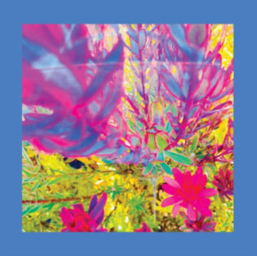 PAST IS A GARDEN I NEVER FED | VINYL RECORD (LP)