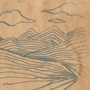 WOODEN WAND | FARMER'S CORNER | VINYL RECORD (LP)