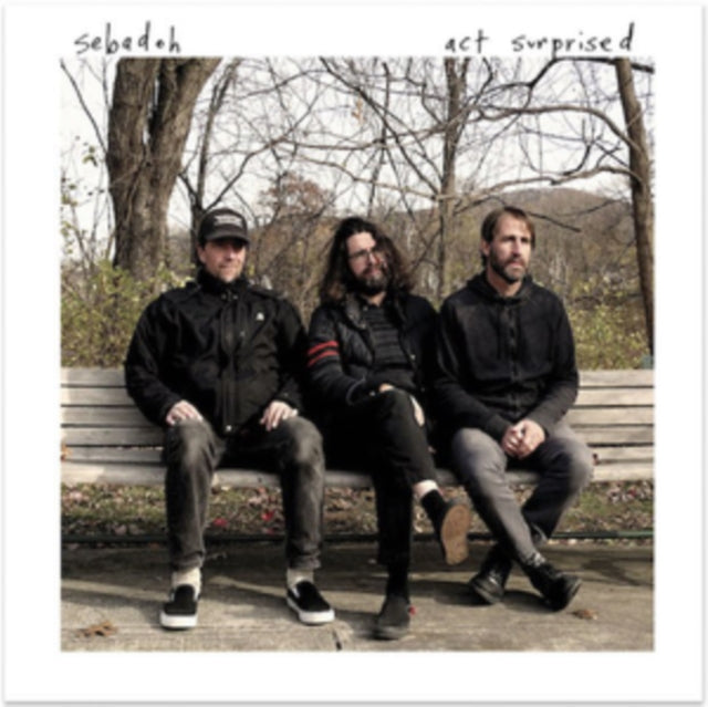 SEBADOH | ACT SURPRISED (COLOR VINYL) | VINYL RECORD (LP)