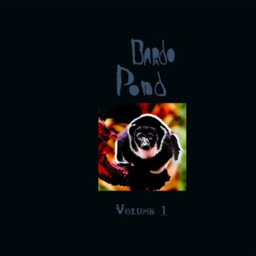 VOLUME 1 | VINYL RECORD (LP)