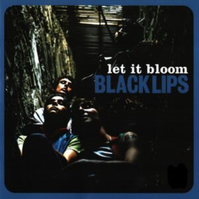 BLACK LIPS | LET IT BLOOM | VINYL RECORD (LP)