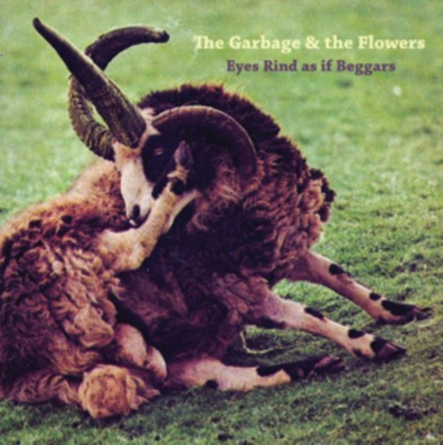 GARBAGE & THE FLOWERS | EYES RIND AS IF BEGGARS (2LP/CD) | VINYL RECORD (LP)
