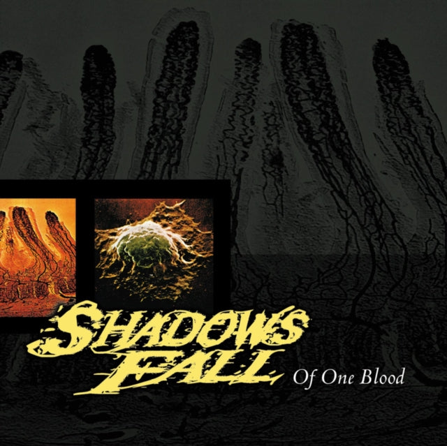 SHADOWS FALL | OF ONE BLOOD (YELLOW W/ BLACK MARBLE VINYL) | VINYL RECORD (LP)
