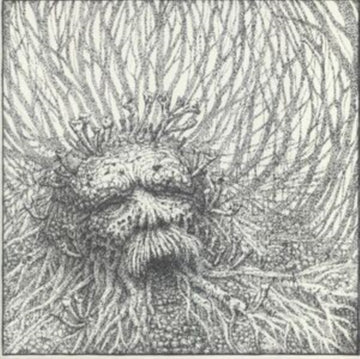 NEMOROUS (2LP/WHITE/BLACK HALF & HALF VINYL/IMPORT) | VINYL RECORD (LP)