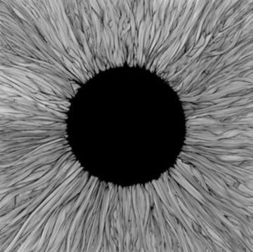 VOLA | WITNESS (GLOW IN THE DARK VINYL) | VINYL RECORD (LP)