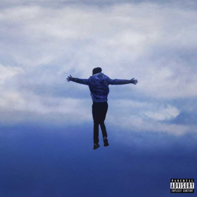 HUDSON, HARRY | HEY, I'M HERE FOR YOU (BLUE & WHITE MARBLE VINYL/2LP) | VINYL RECORD (LP)