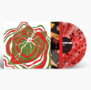 RASPBERRY MOON | VINYL RECORD (LP)