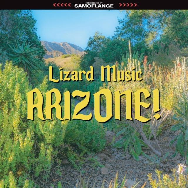 LIZARD MUSIC | ARIZONE! | VINYL RECORD (LP)