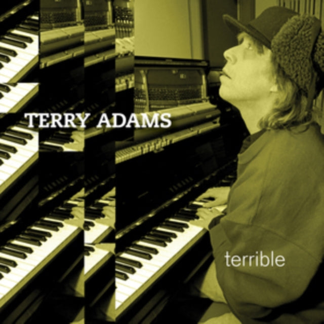 ADAMS, TERRY | TERRIBLE (2LP) | VINYL RECORD (LP)