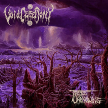 VOIDCEREMONY | THREADS OF UNKNOWING | VINYL RECORD (LP)