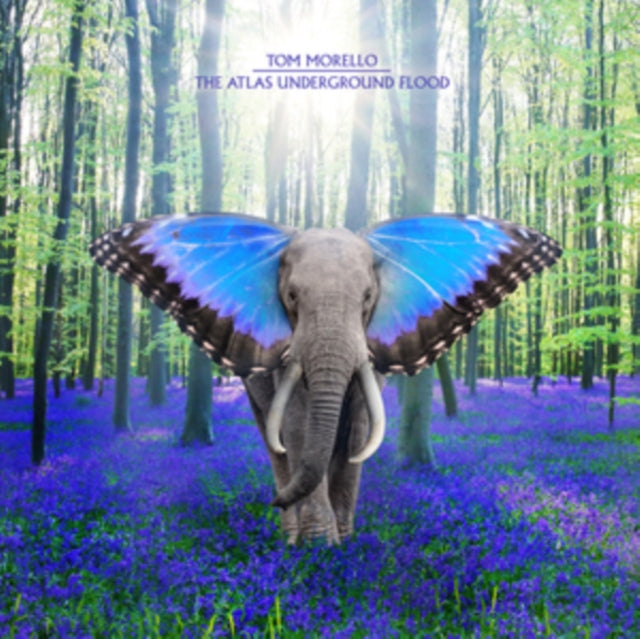 MORELLO, TOM | ATLAS UNDERGROUND FLOOD (SKY BLUE GRAPE VINYL) | VINYL RECORD (LP)