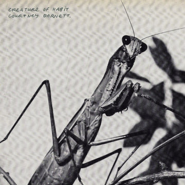 CREATURE OF HABIT (140G) | VINYL RECORD (LP)