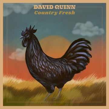 QUINN, DAVID | COUNTRY FRESH | VINYL RECORD (LP)