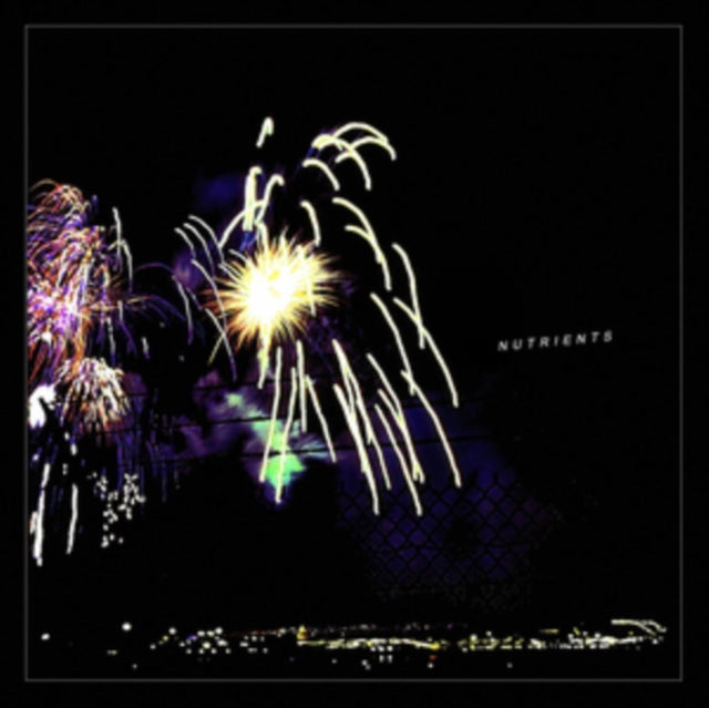 NUTRIENTS | DIFFERENT BRIDGES | VINYL RECORD (LP)