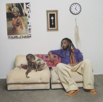 13 MONTHS OF SUNSHINE | VINYL RECORD (LP)