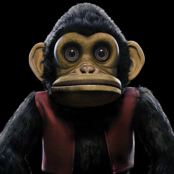 MONKEY (LENTICULAR COVER HOUSED INSIDE A LIMITED SLIPCASE) | VINYL RECORD (LP)