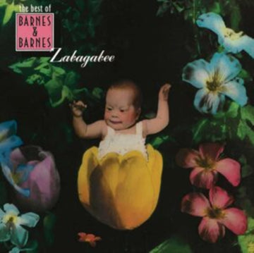 ZABAGABEE: THE BEST OF BARNES & BARNES | VINYL RECORD (LP)