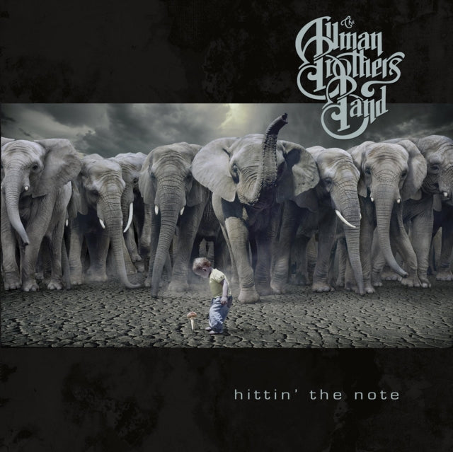 ALLMAN BROTHERS BAND | HITTING THE NOTE | VINYL RECORD (LP)