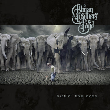 ALLMAN BROTHERS BAND | HITTING THE NOTE | VINYL RECORD (LP)