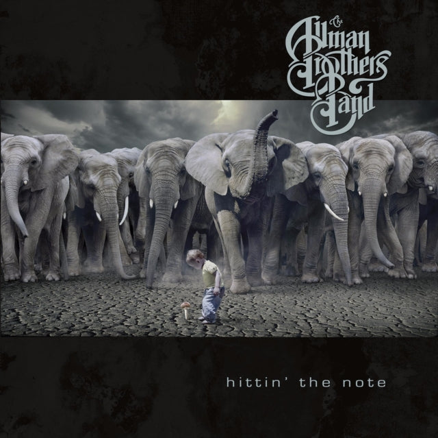 ALLMAN BROTHERS | HITTING THE NOTE | VINYL RECORD (LP)