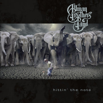 ALLMAN BROTHERS | HITTING THE NOTE | VINYL RECORD (LP)