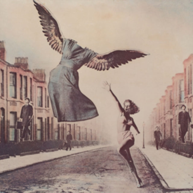 FALANA, SHANA | SET YOUR LIGHTNING FIRE FREE | VINYL RECORD (LP)