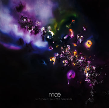 MAE | MULTISENSORY AESTHETIC EXPERIENCE | VINYL RECORD (LP)