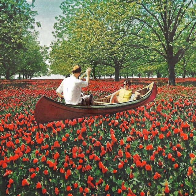 ELDER BROTHER | STAY INSIDE | VINYL RECORD (LP)
