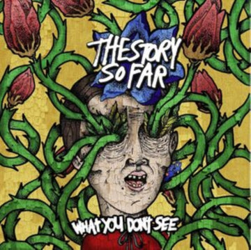 WHAT YOU DON'T SEE | VINYL RECORD (LP)