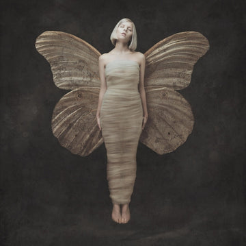 AURORA | ALL MY DEMONS GREETING ME AS A FRIEND | VINYL RECORD (LP)