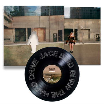 BURN THE HARD DRIVE | VINYL RECORD (LP)