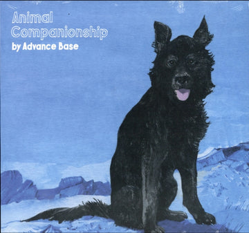 ADVANCE BASE | ANIMAL COMPANIONSHIP | VINYL RECORD (LP)