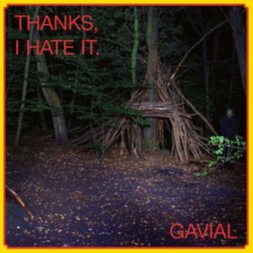 THANKS, I HATE IT (LP/CD) | VINYL RECORD (LP)