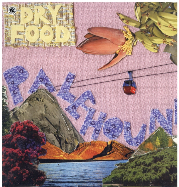 PALEHOUND | DRY FOOD | VINYL RECORD (LP)