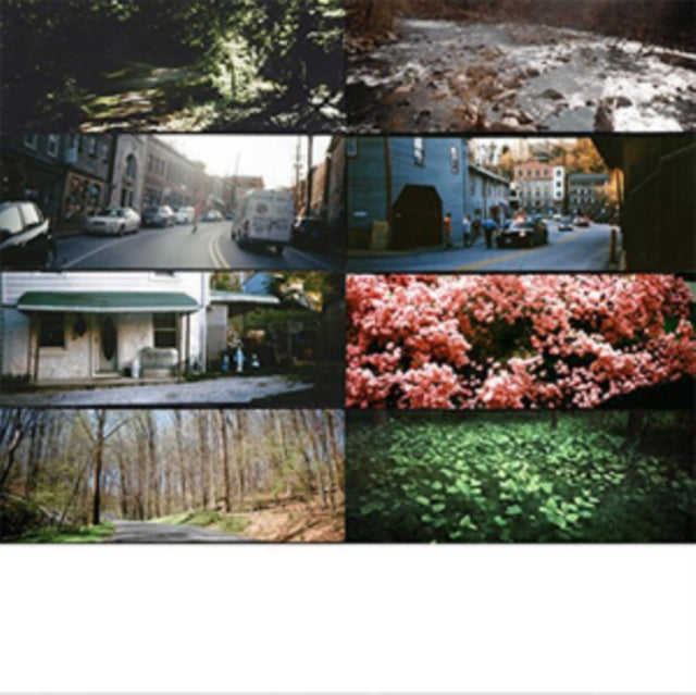 AMERICAN PLEASURE CLUB | WHOLE FUCKING LIFETIME OF THIS | VINYL RECORD (LP)