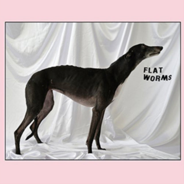 FLAT WORMS | FLAT WORMS | VINYL RECORD (LP)