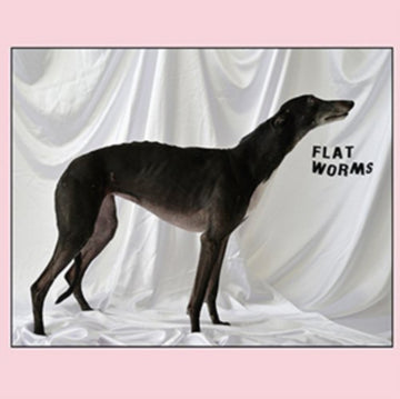 FLAT WORMS | FLAT WORMS | VINYL RECORD (LP)