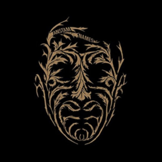 ANSTAM | NAMES | VINYL RECORD (LP)