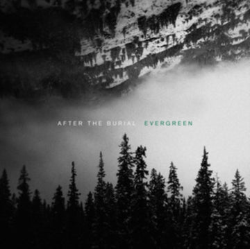 EVERGREEN | VINYL RECORD (LP)