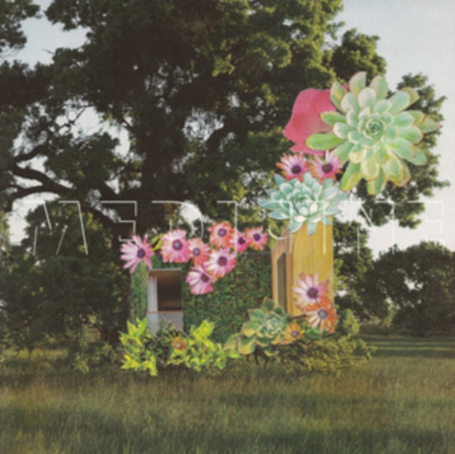 MEDICINE | HOME EVERYWHERE | VINYL RECORD (LP)