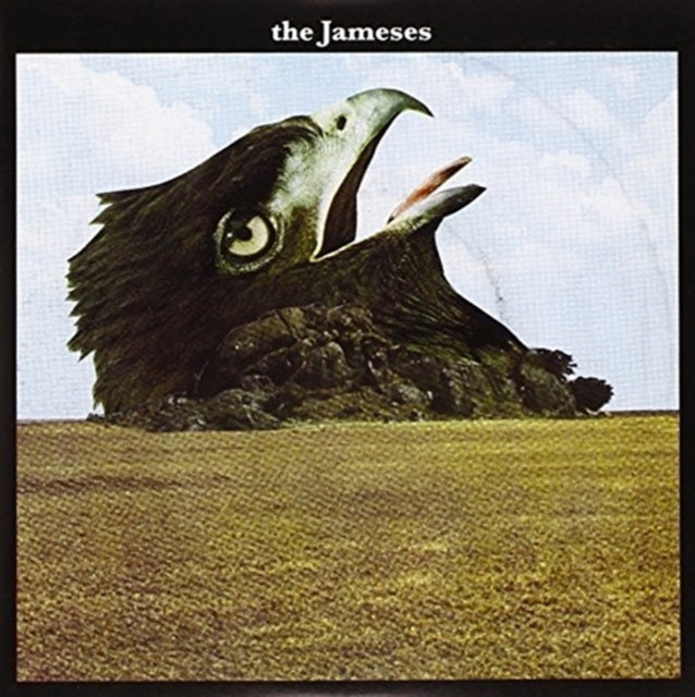 JAMESES | CARIBOU | 7IN VINYL