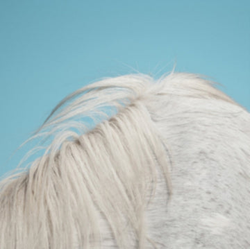 WIDOWSPEAK | ALL YOURS | VINYL RECORD (LP)