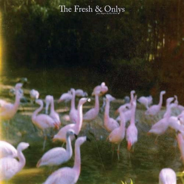 FRESH & ONLYS | AUGUST IN MY MIND | VINYL RECORD (LP)