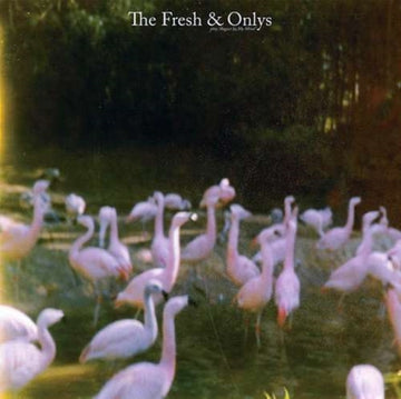 FRESH & ONLYS | AUGUST IN MY MIND | VINYL RECORD (LP)