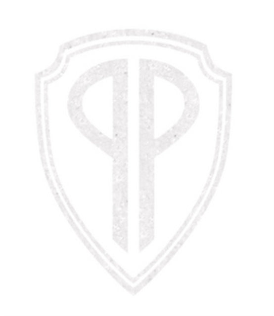 PERFECT PUSSY | SAY YES TO LOVE | VINYL RECORD (LP)