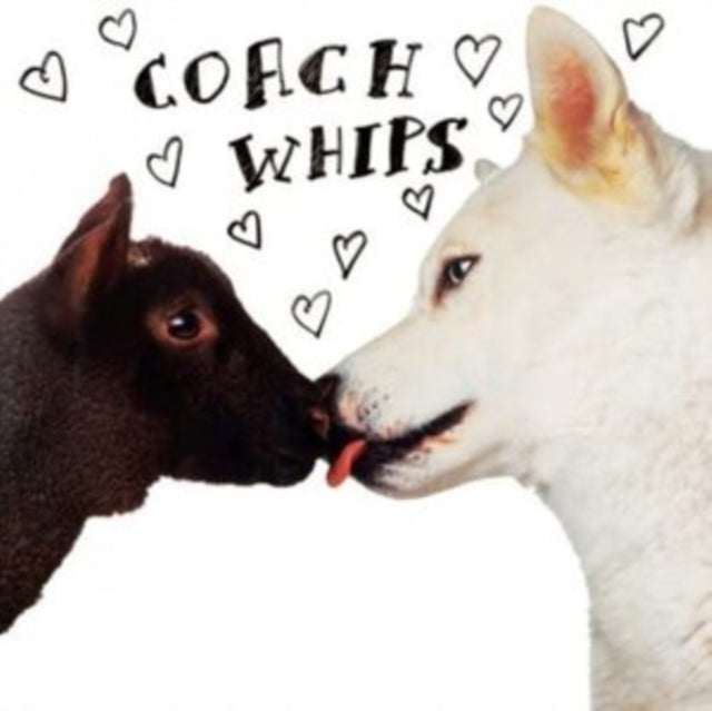COACHWHIPS | BANGERS VS. FUCKERS | VINYL RECORD (LP)
