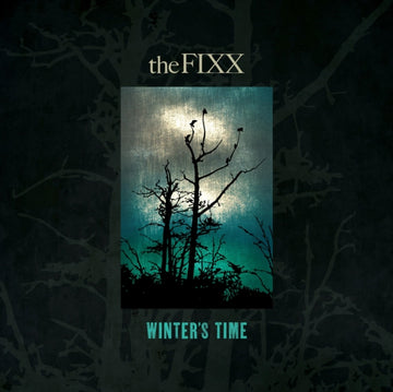 WINTER'S TIME/SOMEONE LIKE YOU | 12IN VINYL